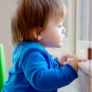 Government apology for historical forced adoption